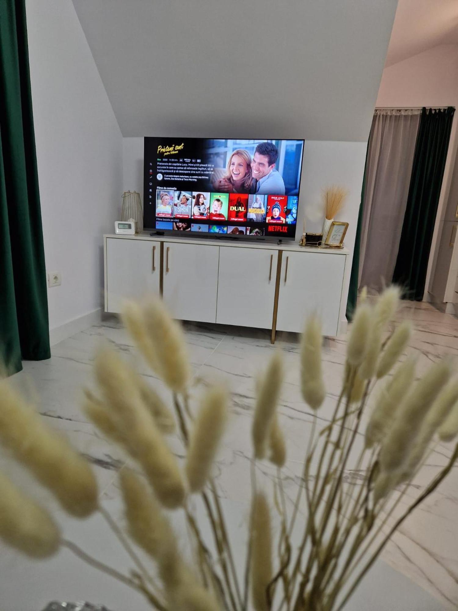 Gold Tag Apartament Temeşvar Dış mekan fotoğraf